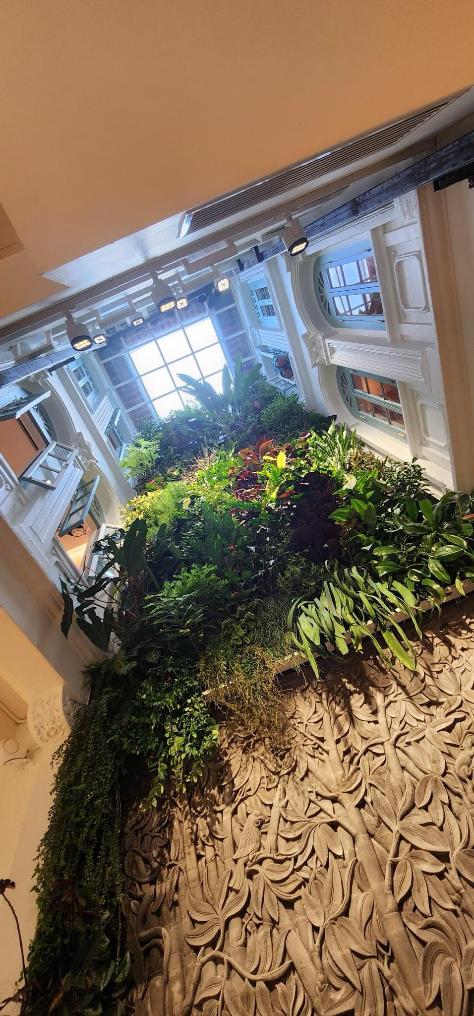 Lush green plant wall